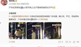 艺兴最新爆料新闻视频播放,揭秘幕后故事，精彩瞬间回顾