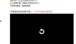 田子晴最新爆料,揭秘娱乐圈惊人内幕