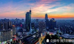 佛山都市爆料事件最新,最新事件追踪，真相渐浮水面
